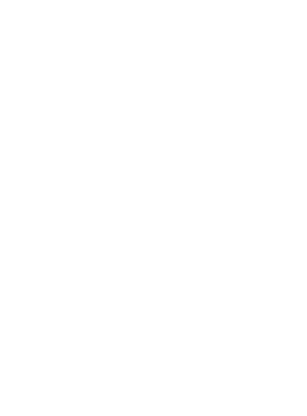 Ride Regulator